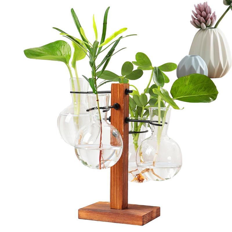 Propagation Station Vase - Terrarium With Stand Terrarium Planter Bulb